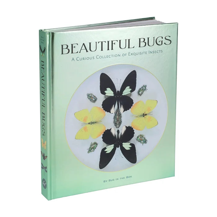 Beautiful Bugs: A Curious Collection of Exquisite Insects