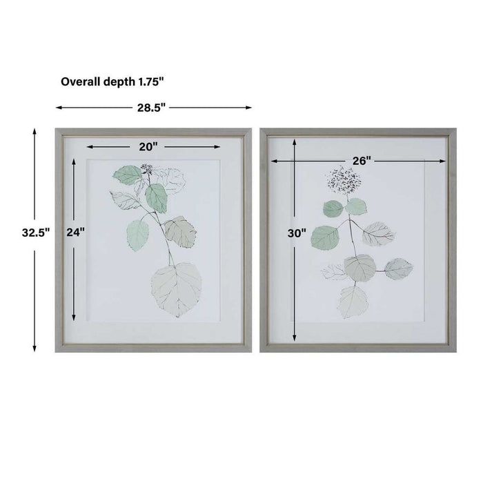 Botanical Framed Art