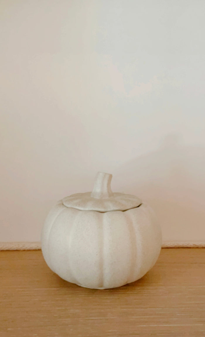 Ceramic Pumpkins - Simply Modern