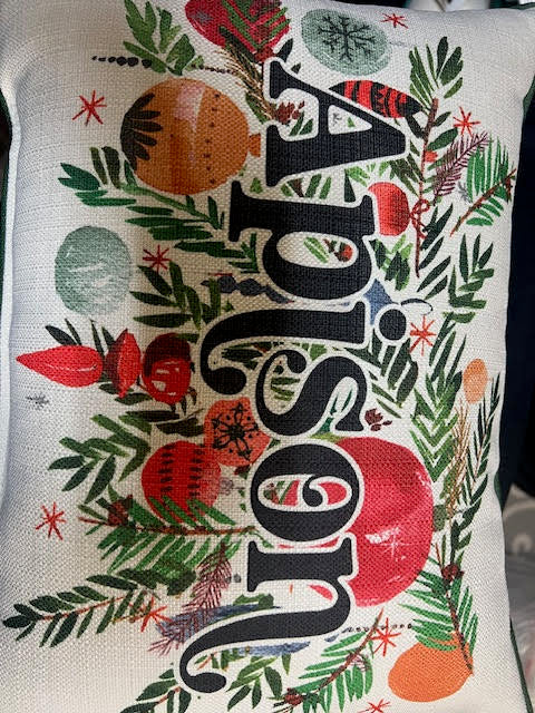 Charming Apison Christmas Hometown Pillow