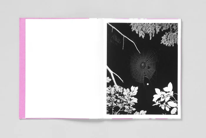 FLOWERS DRINK THE RIVER - Pia-Paulina Guilmoth