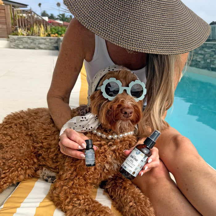 Woman holding a dog and Good Pet Calming products beside a pool.