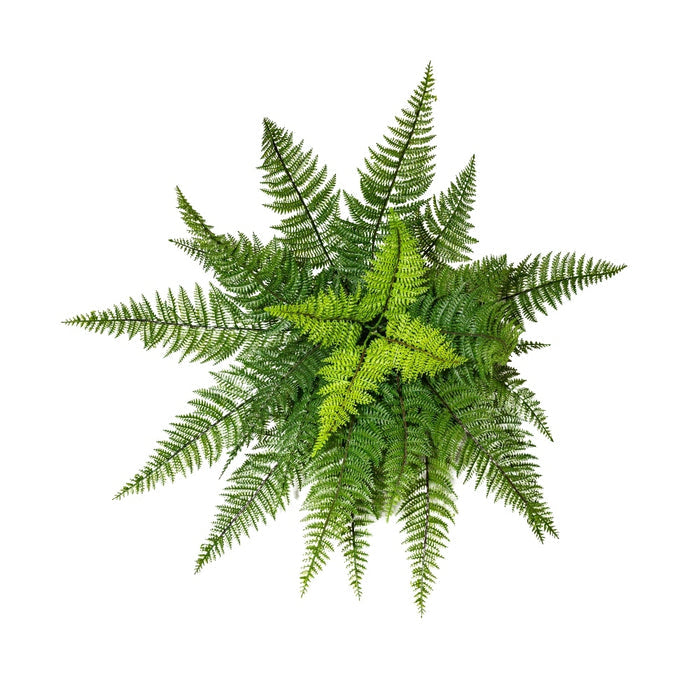 Green 23"H Leather Fern Bush
