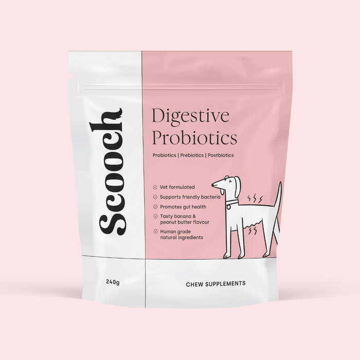 Gut & Digestion.