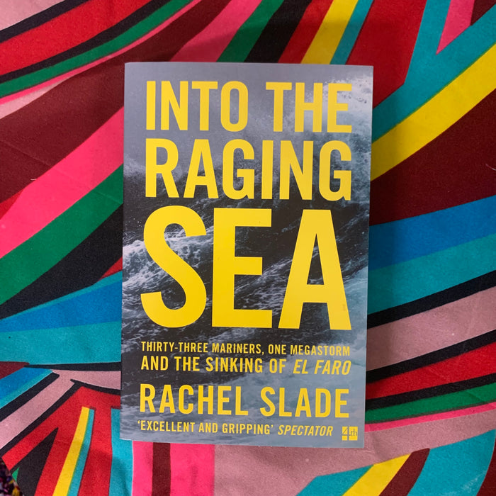 Into the Raging Sea by Rachel Slade