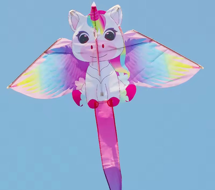 Kite