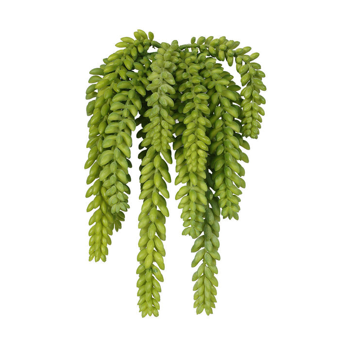 Light Green 13"L Donkeys Tail Bush ×