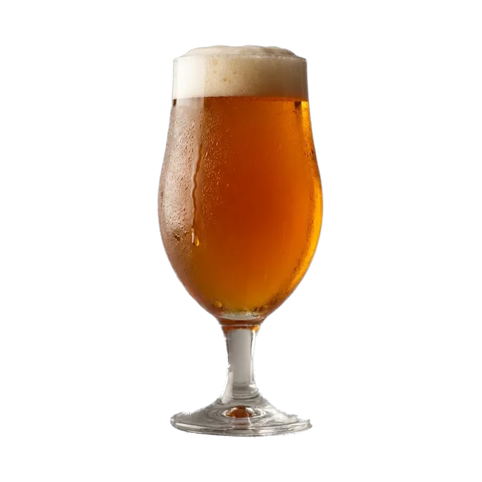 Martin's Belgian IPA Recipe Kit
