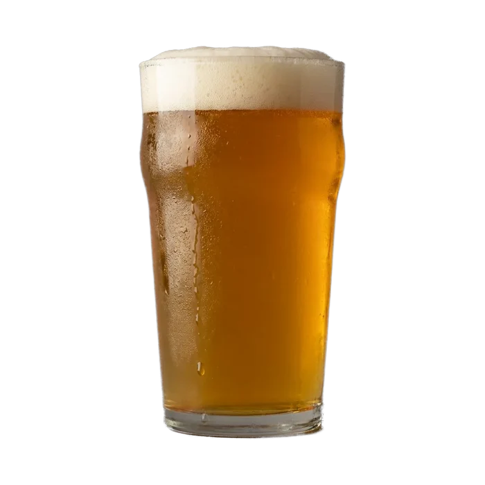 Martin's Cheap IPA Recipe Kit