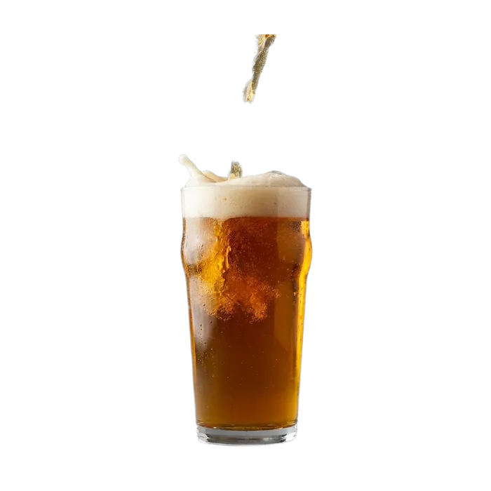 Martin's Five Day IPA Recipe Kit
