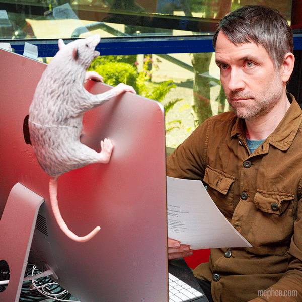 A man at a desk watches in awe as the Office Possum with posable paws climbs his computer monitor.