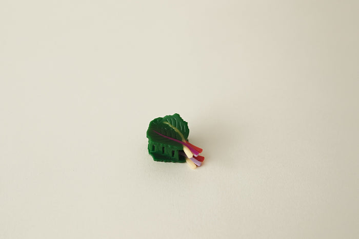 rainbow chard hair clip