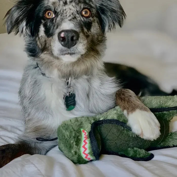 Ruffian Dino T-Rex