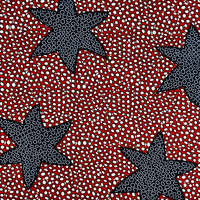 Soup-A-Star - Placemats