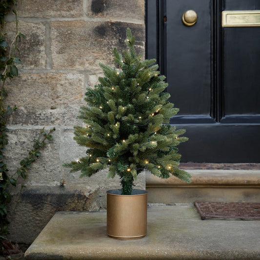 TR24003 - 75cm Pre Lit Outdoor Christmas Tree.jpg
