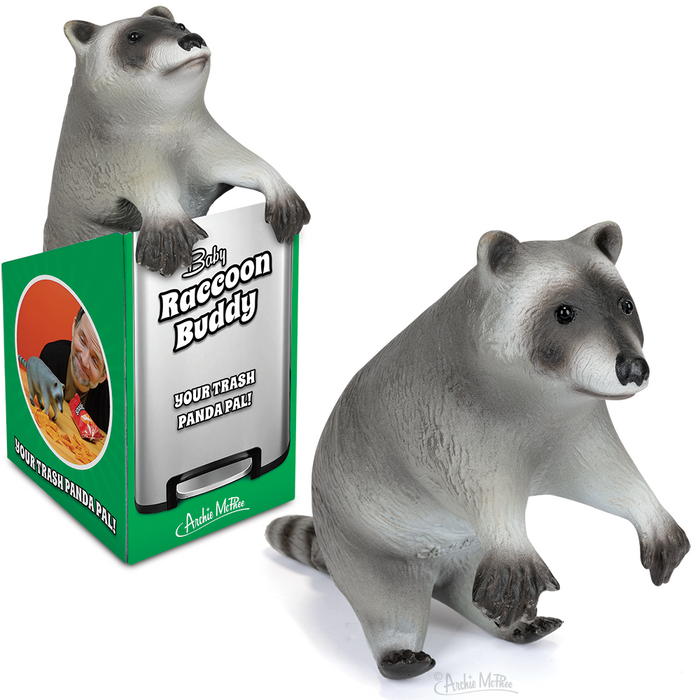 The toy raccoon figurine with posable paws is elegantly displayed in an illustrated box labeled Baby Raccoon Buddy, adding a touch of charm to its presentation.