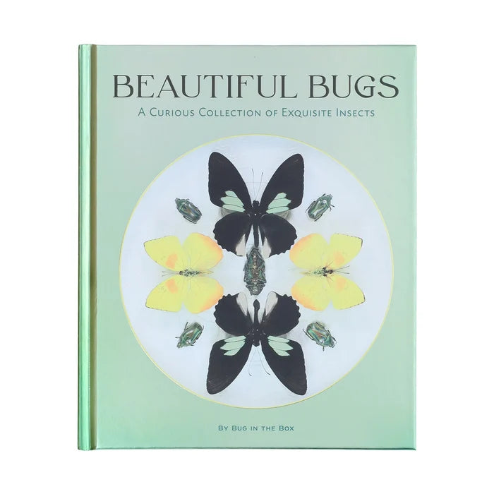 Beautiful Bugs: A Curious Collection of Exquisite Insects