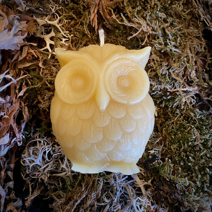 Beeswax Owl Shaped Candle