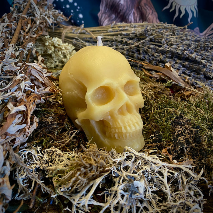 Beeswax Skull Shaped Candle