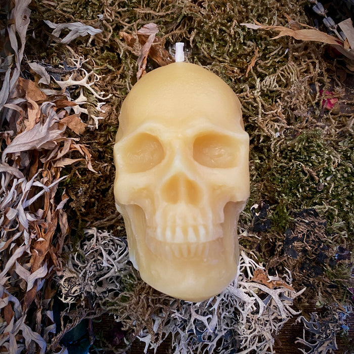 Beeswax Skull Shaped Candle