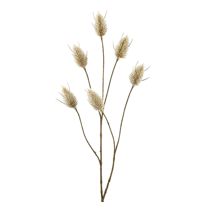 Beige 28"H Hare's Tail Spray