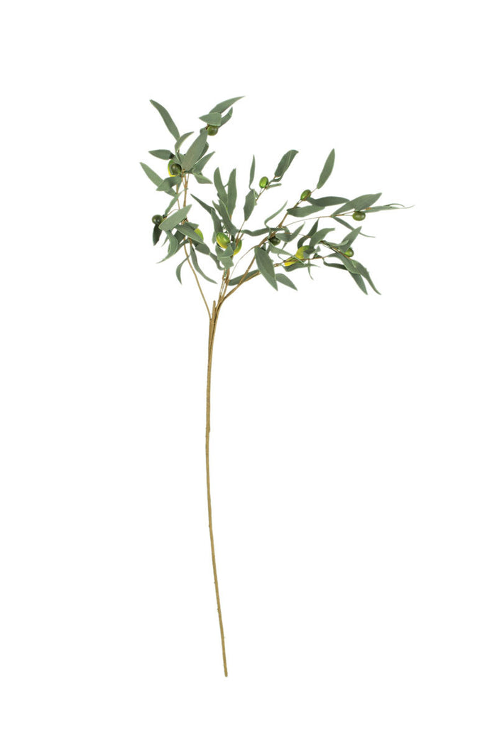 BOTANICA #963
