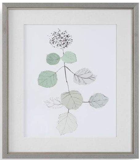 Botanical Framed Art