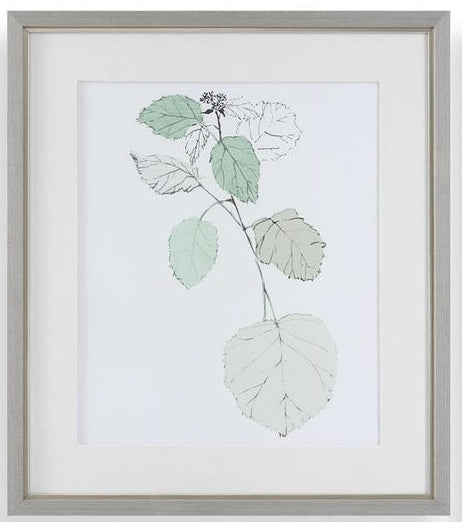 Botanical Framed Art
