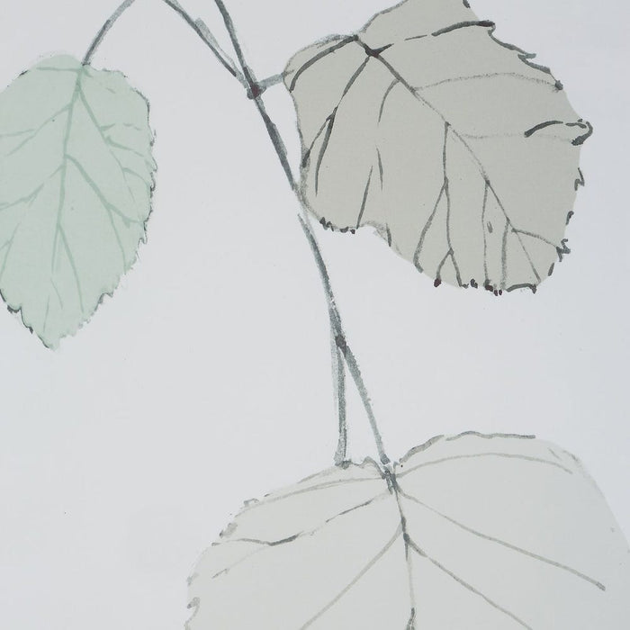 Botanical Framed Art