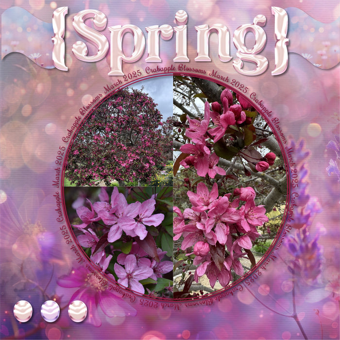 Capture the special moments in life with these digital scrapbooking alphabet letters, numbers, and punctuation by Lucky Girl Creative digital art. Great for page titles for spring, wedding, birthday, baby, special events, and more! The Pearl Pink Alpha Set consists of a full set of digital art uppercase letters A-Z, lowercase letters a-z, numbers 0-9, and most punctuation marks. This alpha set is available as individual embellishments only. This kit is included in the Pearl Alpha Bundle.