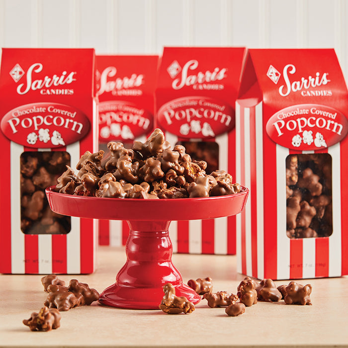 Chocolate Covered Popcorn
