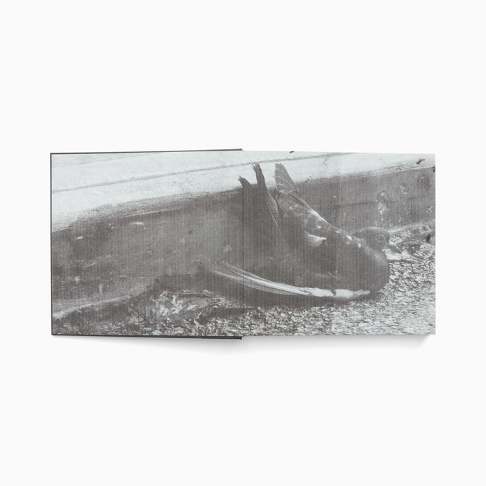 Christopher Culver: Unhome