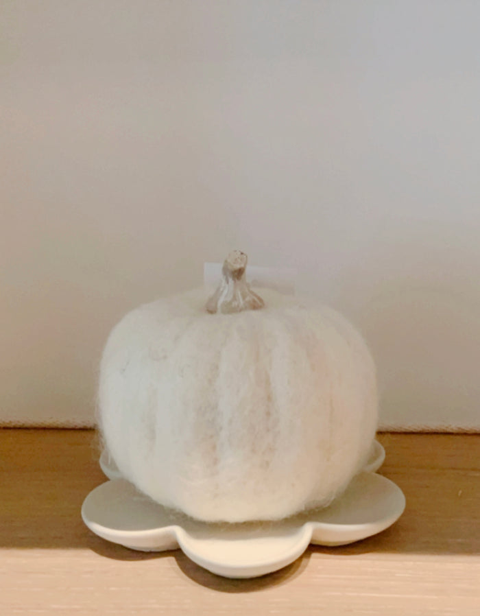 Decorative Pumpkin