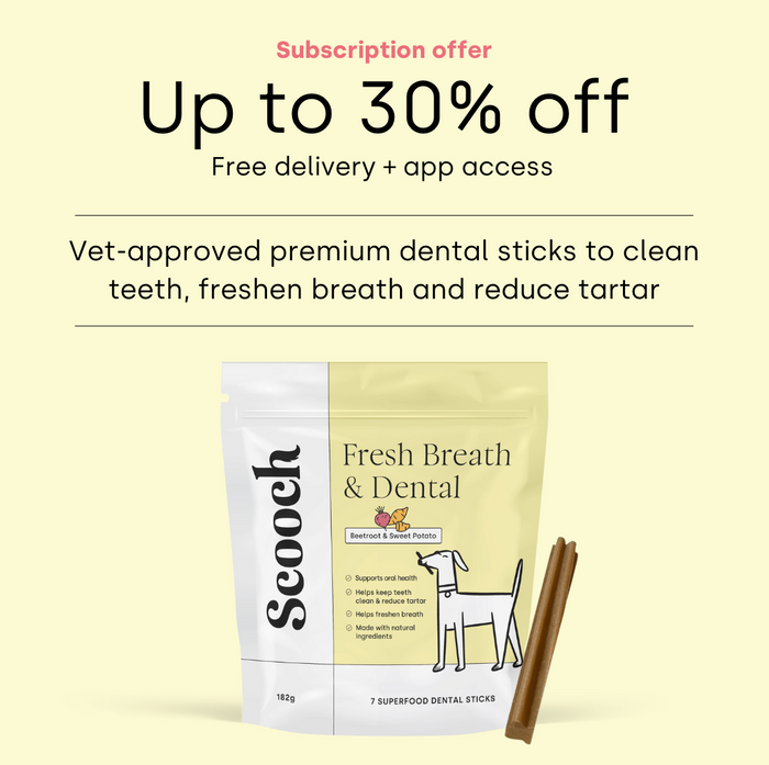 Dental Sticks Beetroot.