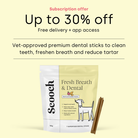 Dental Sticks Beetroot.