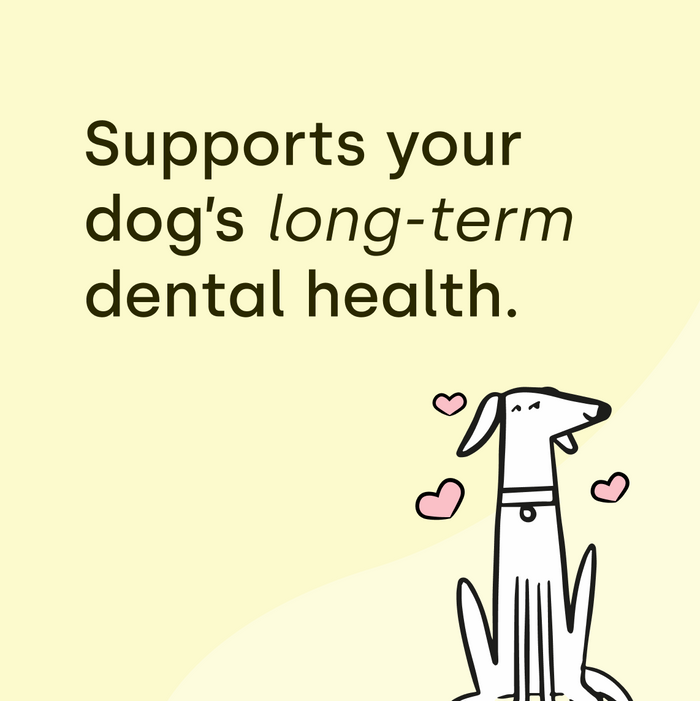 Dental Sticks Beetroot.