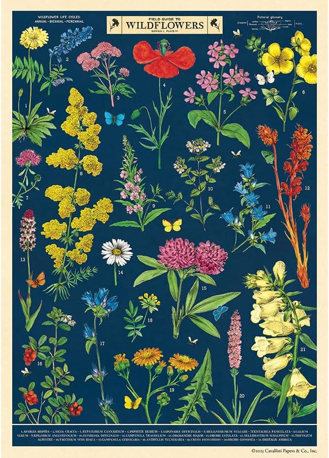 Field Guide to Wildflowers Poster