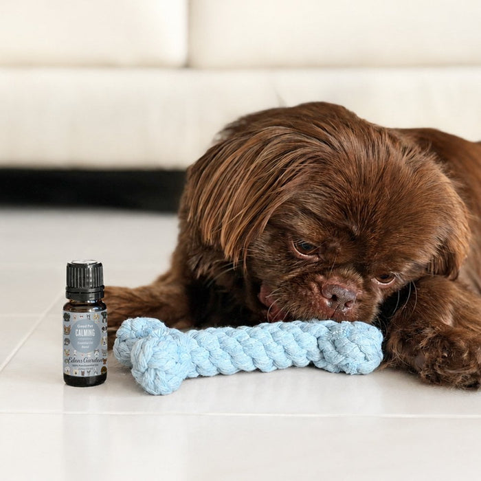 Dog playing beside Good Pet Calming Essential Oil Blend for Pets.