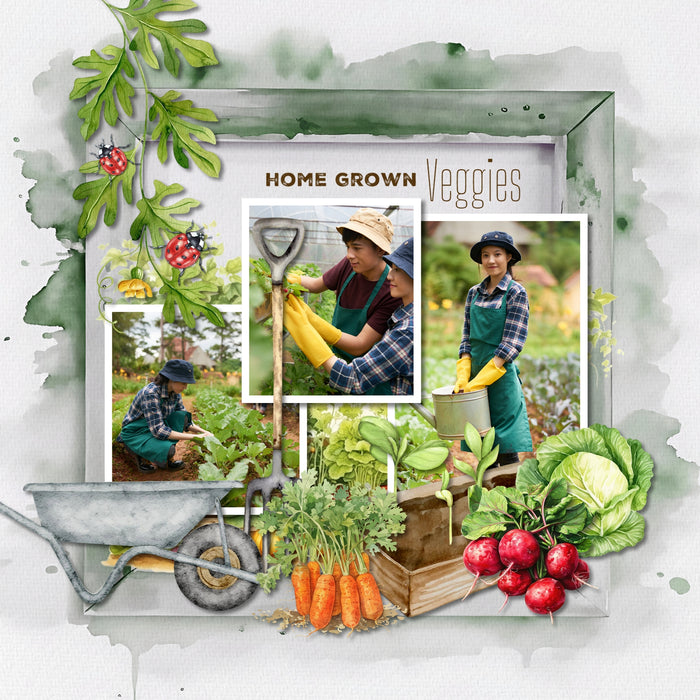 Create beautiful sunny spring, garden, and outdoor pages with these inspirational green watercolor background papers by Lucky Girl Creative digital art for digital scrapbooking. Great for St. Patrick's Day, Christmas, camping, and outdoor pages, too!