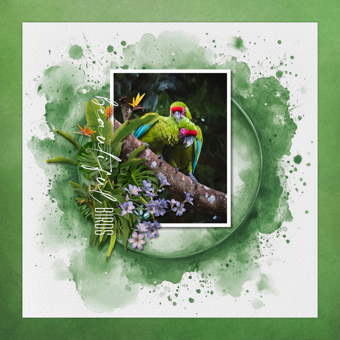 Create beautiful sunny spring, garden, and outdoor pages with these inspirational green watercolor background papers by Lucky Girl Creative digital art for digital scrapbooking. Great for St. Patrick's Day, Christmas, camping, and outdoor pages, too!