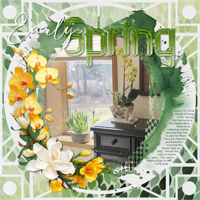 Create beautiful sunny spring, garden, and outdoor pages with these inspirational green watercolor background papers by Lucky Girl Creative digital art for digital scrapbooking. Great for St. Patrick's Day, Christmas, camping, and outdoor pages, too!