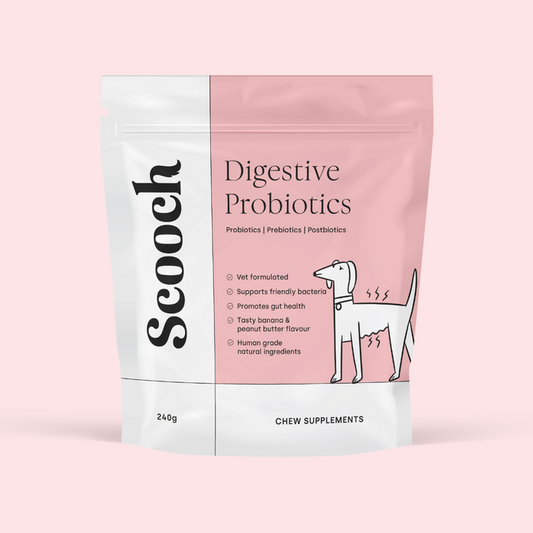 Gut & Digestion.