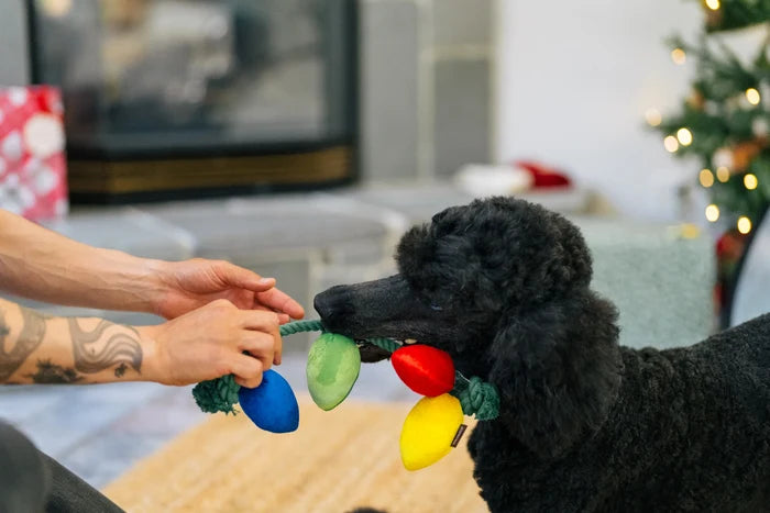 Holiday Lights Rope Pet Toy