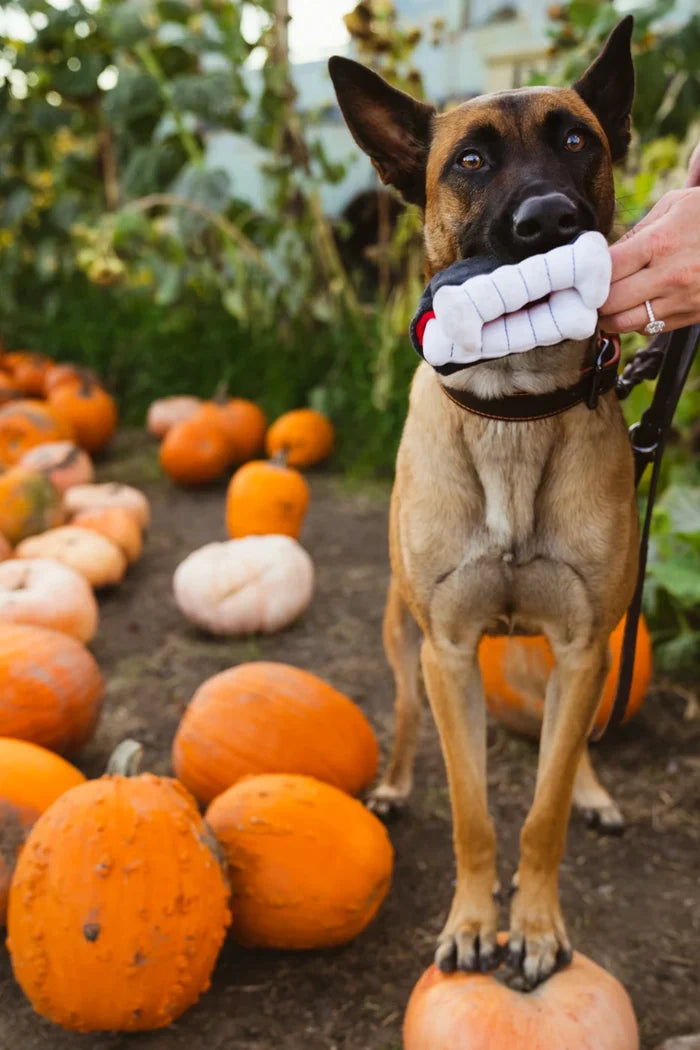 Howling Haunts Barky's Bite Dog Toy