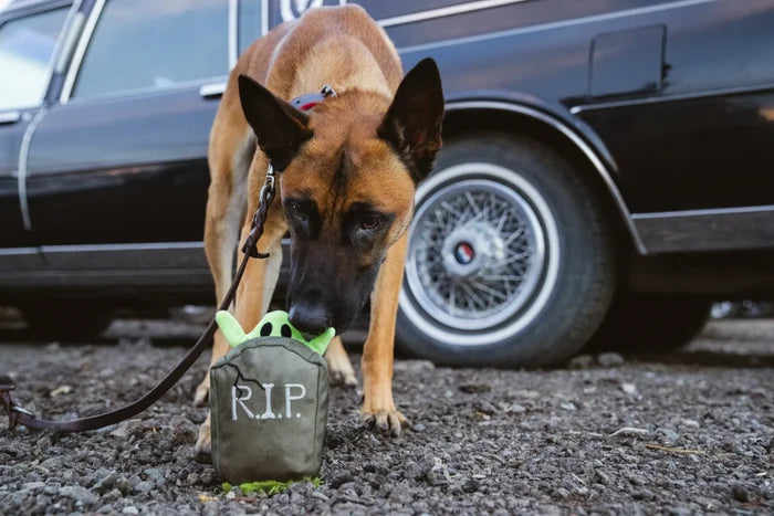 Howling Haunts Ghoulish Grave Pet Toy