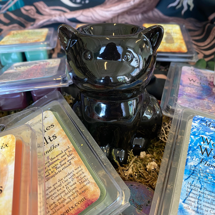 Diffuser PLUS Wax Melts (FULL SET)