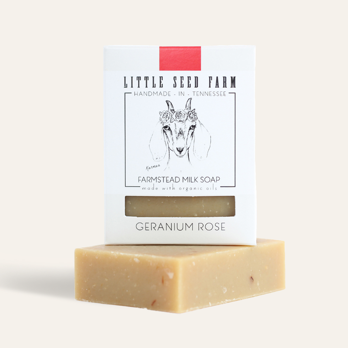 Geranium Rose - Balancing & Cleansing