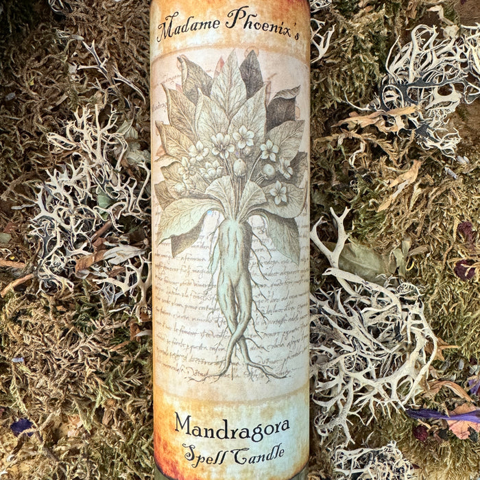 Mandragora | Mandrake 7 Day Candle