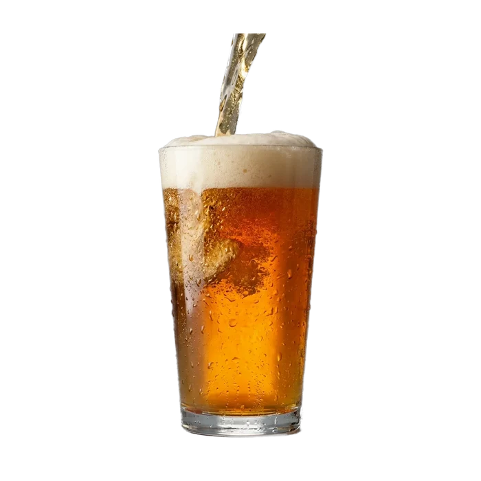 Martin's American IPA Recipe Kit