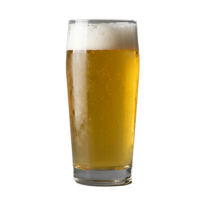 Martin's American Lager Recipe Kit